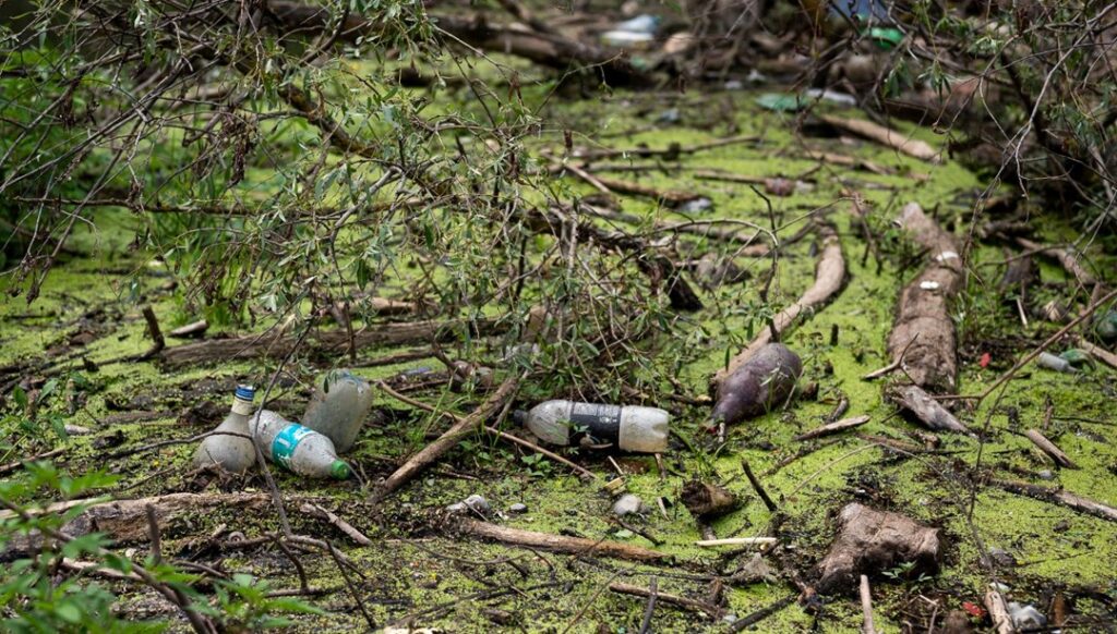 Plastiklerdeki Tehlike: Spermlere Zarar Veriyor