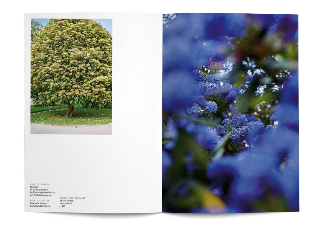 “Karşılaşmanın Meyveleri” 17 Kasım’da Açılıyor